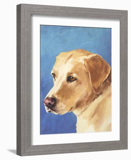 Dog Portrait, Yellow Lab-Jill Sands-Framed Art Print