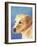 Dog Portrait, Yellow Lab-Jill Sands-Framed Art Print