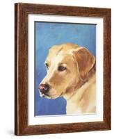Dog Portrait, Yellow Lab-Jill Sands-Framed Art Print