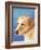 Dog Portrait, Yellow Lab-Jill Sands-Framed Art Print