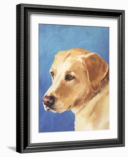 Dog Portrait, Yellow Lab-Jill Sands-Framed Art Print