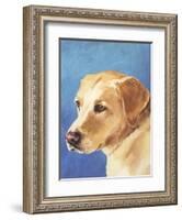 Dog Portrait, Yellow Lab-Jill Sands-Framed Art Print