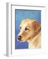 Dog Portrait, Yellow Lab-Jill Sands-Framed Art Print