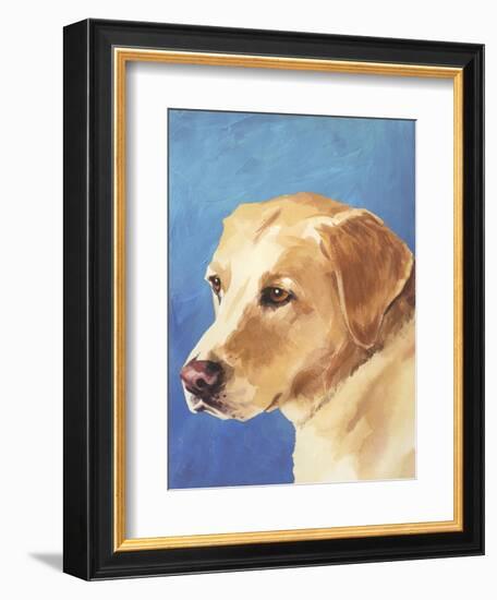 Dog Portrait, Yellow Lab-Jill Sands-Framed Art Print