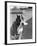 Dog Poses Holding One Paw in His Mouth-null-Framed Photographic Print