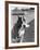 Dog Poses Holding One Paw in His Mouth-null-Framed Photographic Print