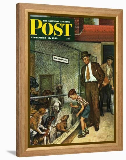 "Dog Pound," Saturday Evening Post Cover, September 17, 1949-Amos Sewell-Framed Premier Image Canvas