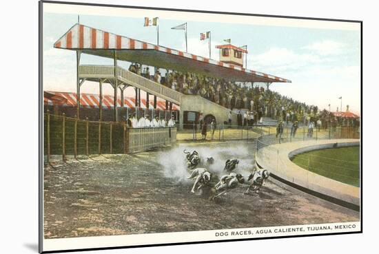 Dog Races, Agua Caliente, Tijuana, Mexico-null-Mounted Art Print