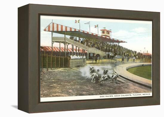 Dog Races, Agua Caliente, Tijuana, Mexico-null-Framed Stretched Canvas