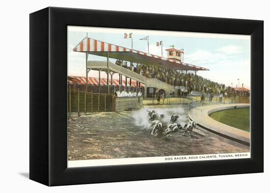 Dog Races, Agua Caliente, Tijuana, Mexico-null-Framed Stretched Canvas