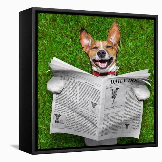 Dog Reading Newspaper-Javier Brosch-Framed Premier Image Canvas