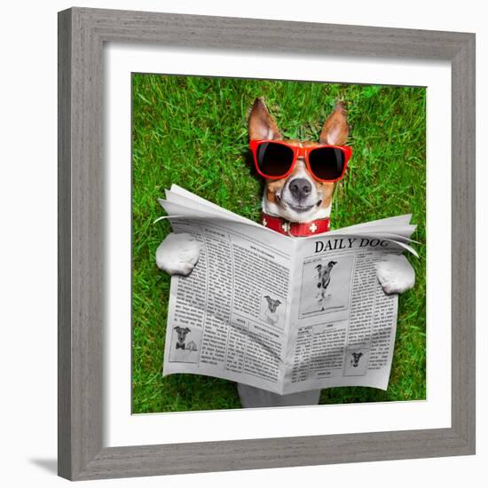 Dog Reading Newspaper-Javier Brosch-Framed Photographic Print