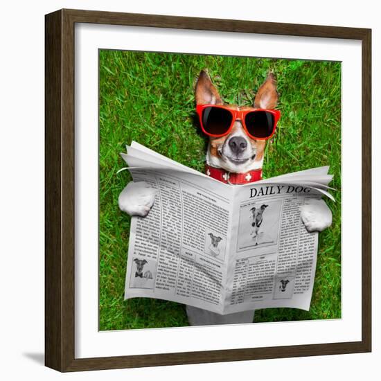 Dog Reading Newspaper-Javier Brosch-Framed Photographic Print