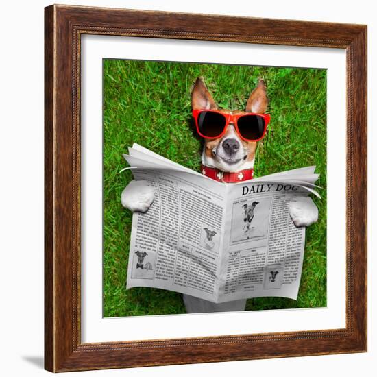 Dog Reading Newspaper-Javier Brosch-Framed Photographic Print