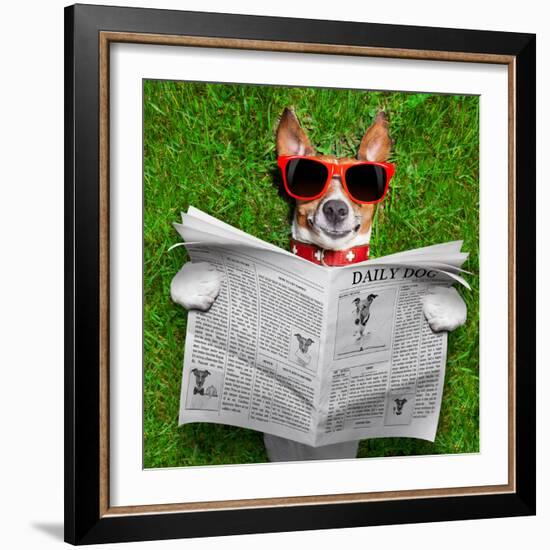 Dog Reading Newspaper-Javier Brosch-Framed Photographic Print