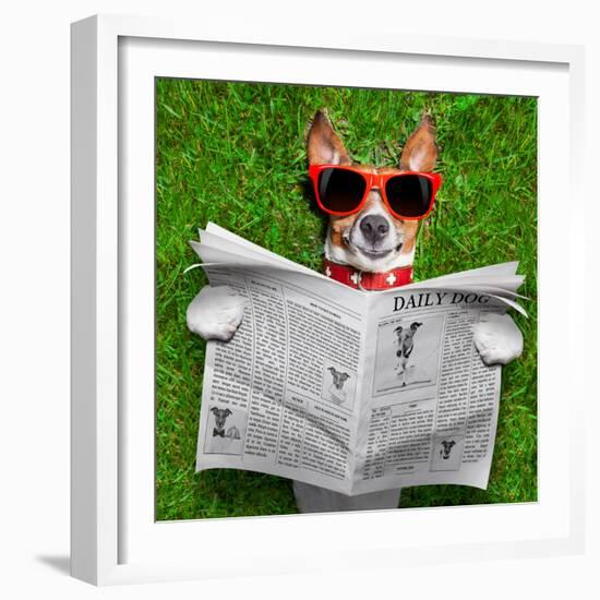 Dog Reading Newspaper-Javier Brosch-Framed Photographic Print