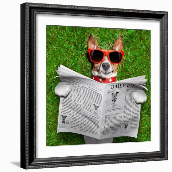 Dog Reading Newspaper-Javier Brosch-Framed Photographic Print