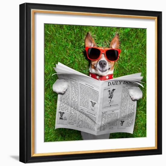 Dog Reading Newspaper-Javier Brosch-Framed Photographic Print