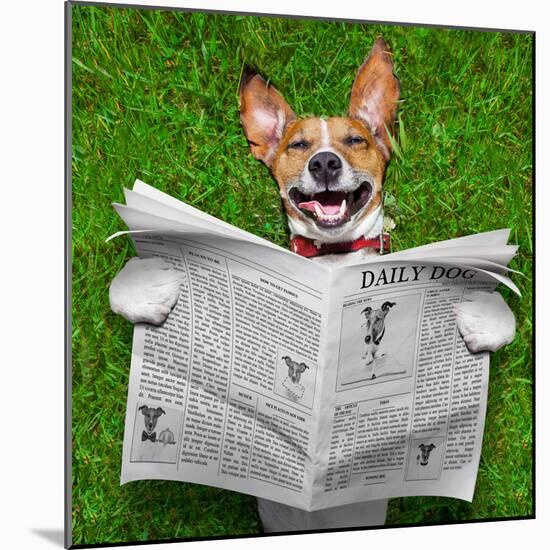 Dog Reading Newspaper-Javier Brosch-Mounted Photographic Print