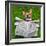 Dog Reading Newspaper-Javier Brosch-Framed Photographic Print