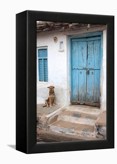 Dog resting outside a house, Jojawar, Rajasthan, India.-Inger Hogstrom-Framed Premier Image Canvas
