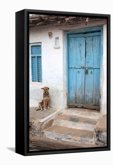 Dog resting outside a house, Jojawar, Rajasthan, India.-Inger Hogstrom-Framed Premier Image Canvas