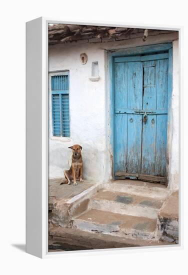 Dog resting outside a house, Jojawar, Rajasthan, India.-Inger Hogstrom-Framed Premier Image Canvas