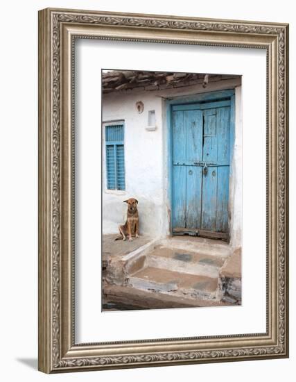 Dog resting outside a house, Jojawar, Rajasthan, India.-Inger Hogstrom-Framed Photographic Print