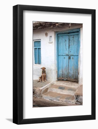 Dog resting outside a house, Jojawar, Rajasthan, India.-Inger Hogstrom-Framed Photographic Print