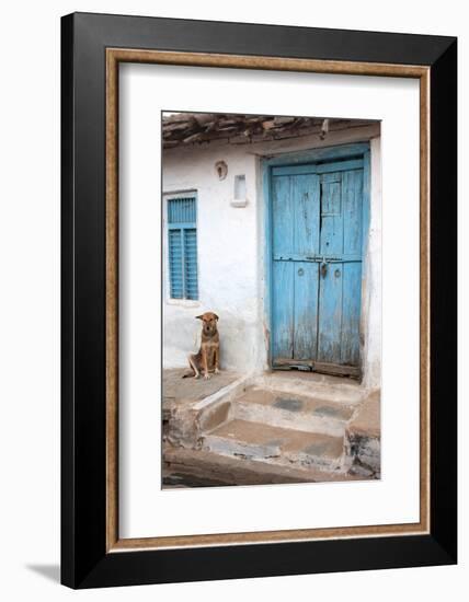 Dog resting outside a house, Jojawar, Rajasthan, India.-Inger Hogstrom-Framed Photographic Print