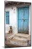 Dog resting outside a house, Jojawar, Rajasthan, India.-Inger Hogstrom-Mounted Photographic Print