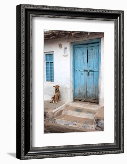 Dog resting outside a house, Jojawar, Rajasthan, India.-Inger Hogstrom-Framed Photographic Print