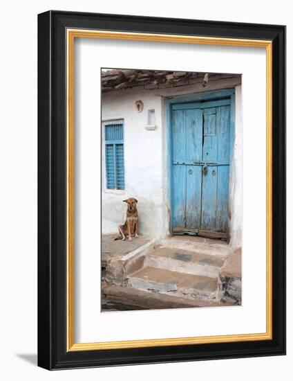 Dog resting outside a house, Jojawar, Rajasthan, India.-Inger Hogstrom-Framed Photographic Print