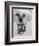 Dog Riding Skateboard-Bettmann-Framed Photographic Print