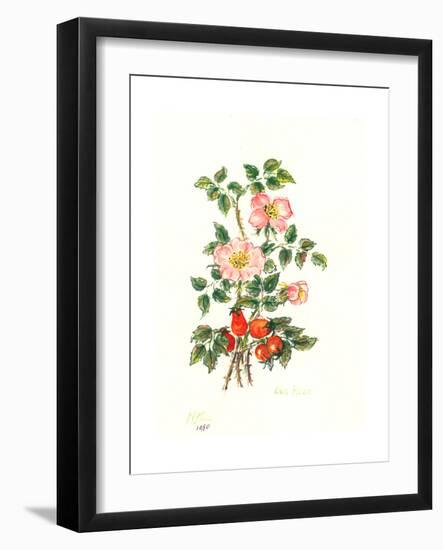 Dog Rose, 1980-Nell Hill-Framed Giclee Print