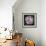 Dog Rose (Rosa Canina)-Linda Wright-Framed Premium Photographic Print displayed on a wall