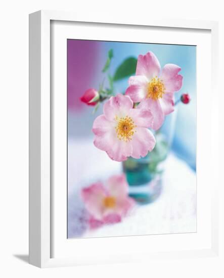 Dog Roses-Pernilla Bergdhal-Framed Art Print