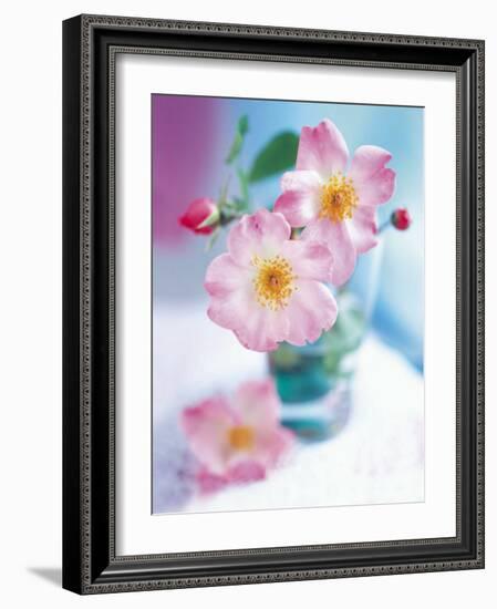 Dog Roses-Pernilla Bergdhal-Framed Art Print