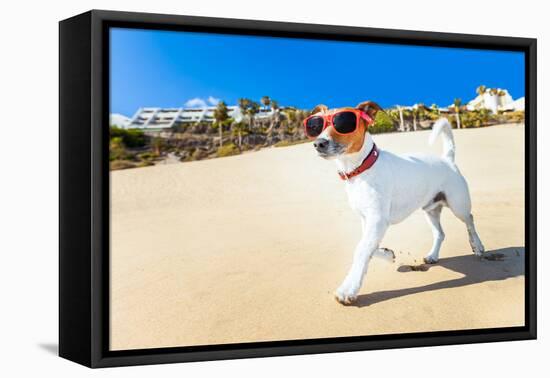 Dog Running at Beach-Javier Brosch-Framed Premier Image Canvas