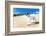 Dog Running at Beach-Javier Brosch-Framed Photographic Print