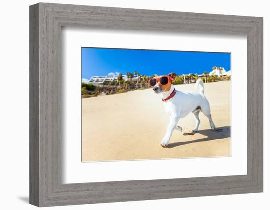 Dog Running at Beach-Javier Brosch-Framed Photographic Print