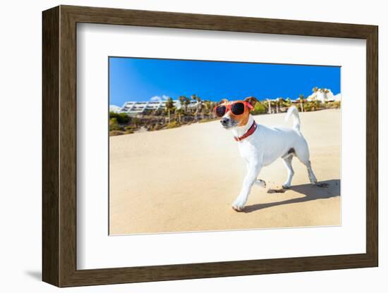 Dog Running at Beach-Javier Brosch-Framed Photographic Print