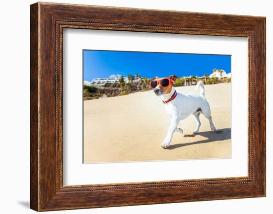 Dog Running at Beach-Javier Brosch-Framed Photographic Print