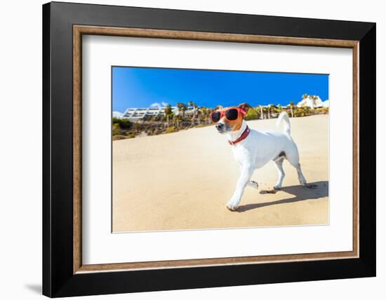 Dog Running at Beach-Javier Brosch-Framed Photographic Print