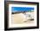 Dog Running at Beach-Javier Brosch-Framed Photographic Print