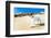 Dog Running at Beach-Javier Brosch-Framed Photographic Print