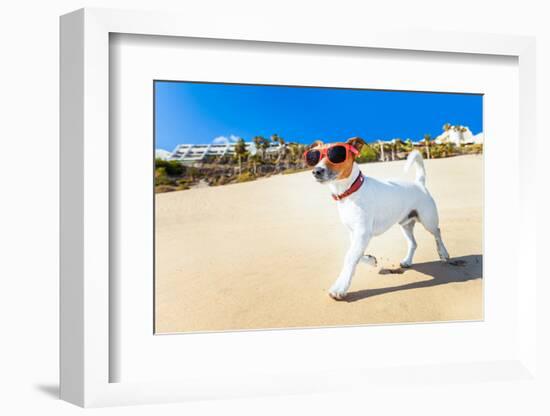 Dog Running at Beach-Javier Brosch-Framed Photographic Print