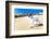 Dog Running at Beach-Javier Brosch-Framed Photographic Print