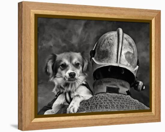 Dog's Best Friend.-Renato J.-Framed Premier Image Canvas