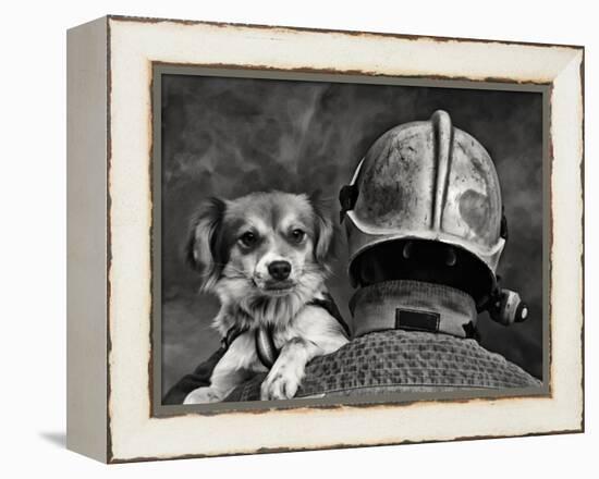 Dog's Best Friend.-Renato J.-Framed Premier Image Canvas